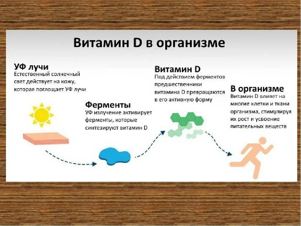 Выработка витамина д