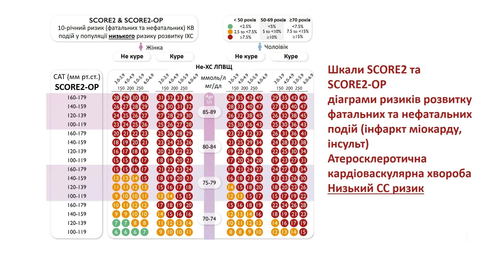 Доходы на финансовом рынке выше реального. Скорре. Скорре. Скорре. Абсолютный суммарный сердечно-сосудистый риск.