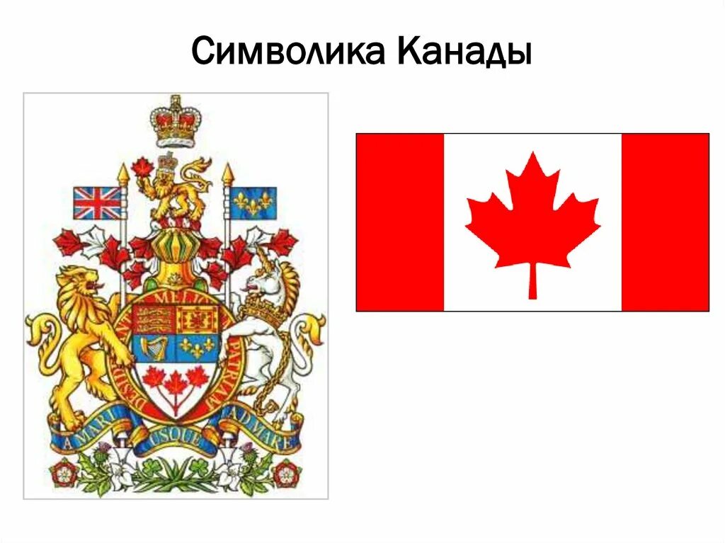 Национальным символом канады является. Гос символы канады. национальные символы канады. неофициальные символы канады. канада флаг и герб.
