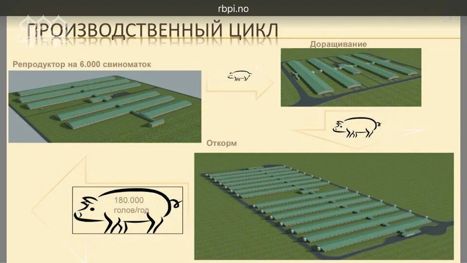 Рбпи групп. RBPI Калининград. RBPI логотип. РБПИ групп Калининград.