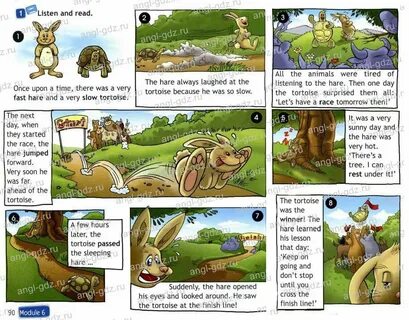 Спотлайт 4 hare and the tortoise