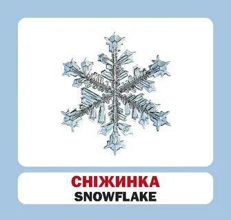 Бывший снежинки