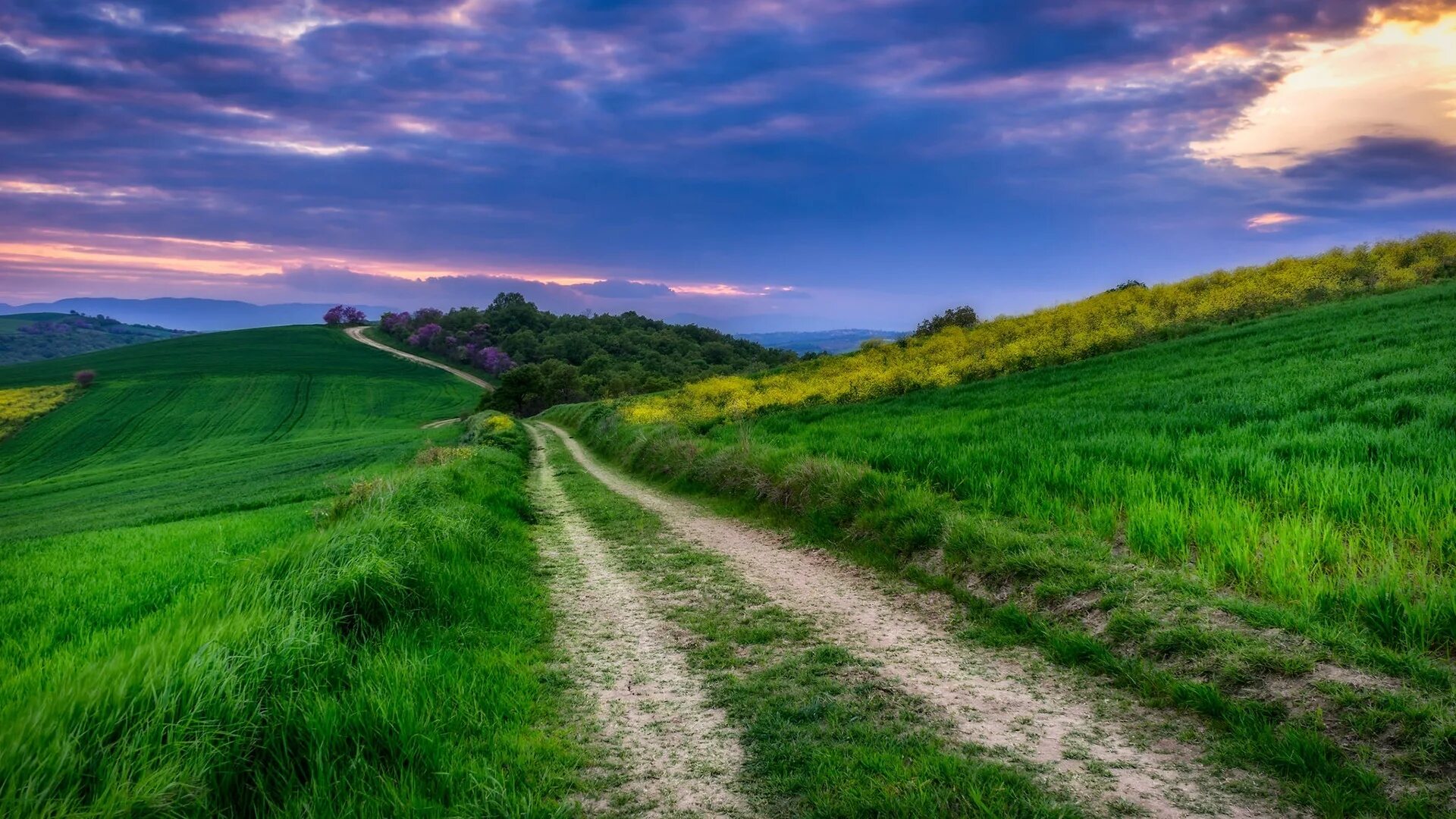 Path day