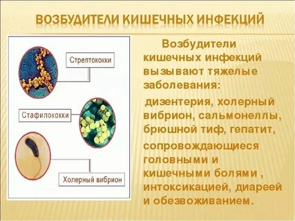 Дифтерия кишечная инфекция