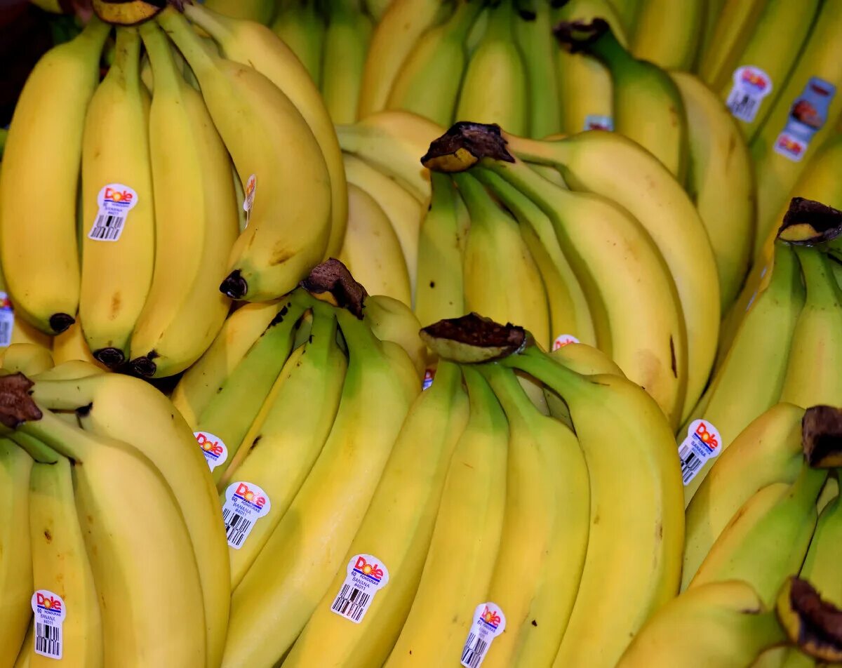 Mei bananas производитель. Наклейки на бананах. Бананы из эквадора. Килограмм бананов. Эквадорские бананы.