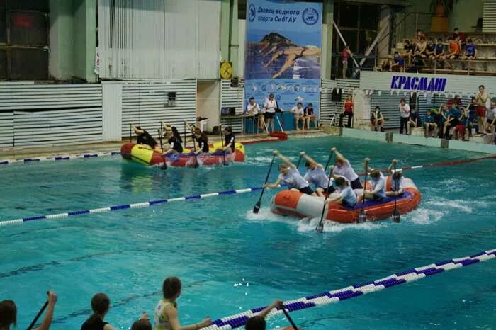 бассейн дельфин новоуральск. дворец водных видов спорта красноярск. водный спорт красноярск. бассейн дельфин нижний тагил. бассейн дворец водного спорта красноярск.