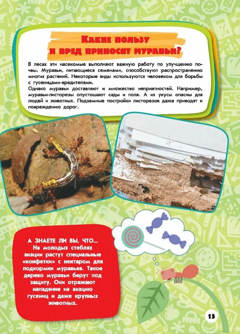Польза от муравья. Польза муравьев лесу. Польза муравьев лесу. Муравьи в лесу польза. Распространите предложение муравьи - полезные жители леса.