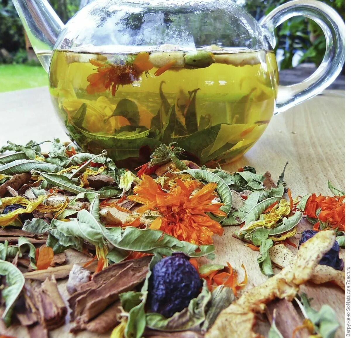 Вкусный чай в домашних условиях. "Чай травяной" "бадан толстолистный". Бессмертник чай. Фруктовый и травяной чай. Ароматный чай из трав.