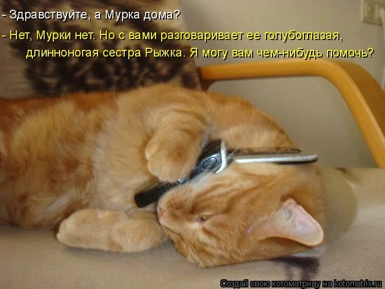 Коти нет