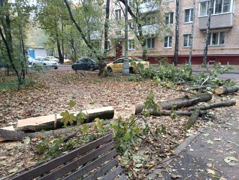 интересные улочки самары. спятить. в какой то момент вашего детства. что у нас во дворе?. правила безопасности во дворе для детей.