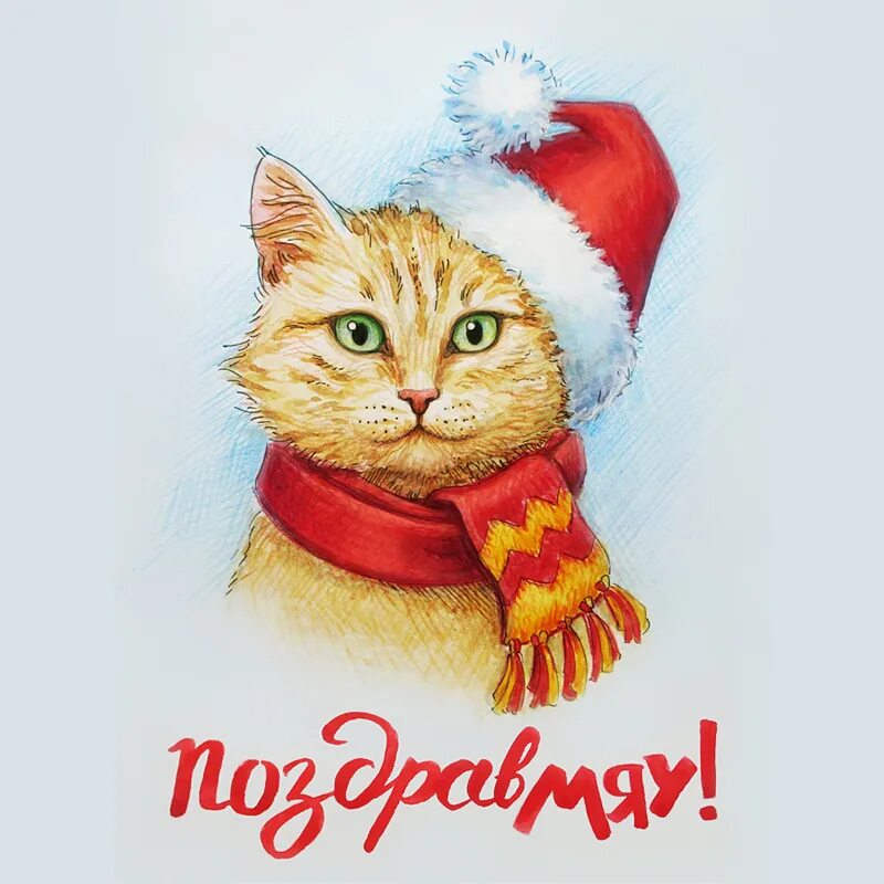 Рожденный год кота. Новогодний котик. Кот новый год. Кот поздравляет с новым годом. Новогодний котик рисунок.
