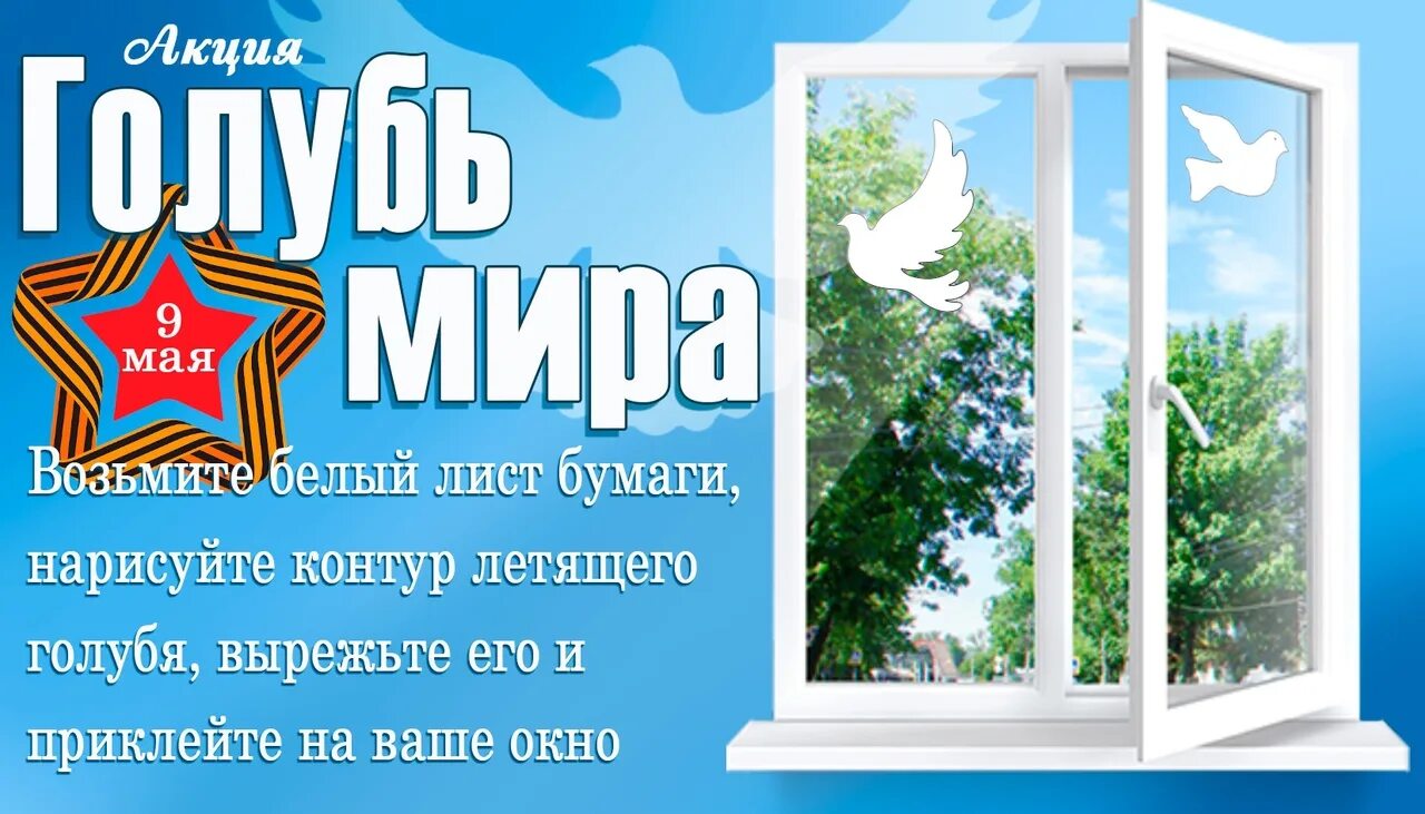 Окно в мир 9. Акция голубь мира на окне. акция голубь мира ко дню победы. окна победы голубь мира. акция голубь мира окна победы.