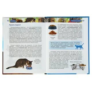 Детская энциклопедия кошки