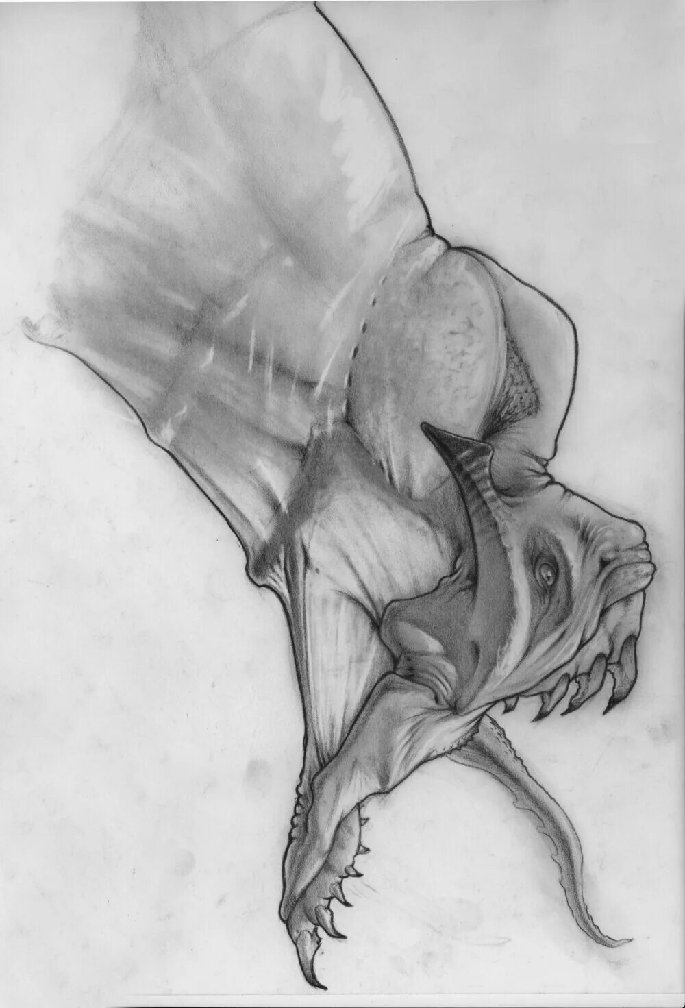 рисунки монстров карандашом. кловер монстро кловерфилд. чудище карандашом. сталкер мутант вендиго. жуткие существа карандашом.