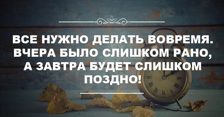 Все нужно делать вовремя цитаты. Цитата все делать вовремя. Все нужно делать во время. Все нужно делать во время цитаты. Сайт смотрите все раньше всех