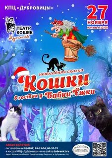 У бабки ежки кошка