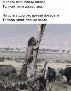 Быть или не быть таков вопрос