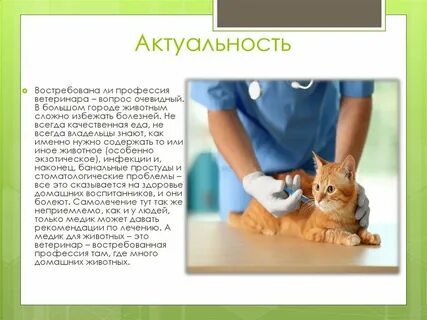 Ветеринар чем эта работа полезна обществу