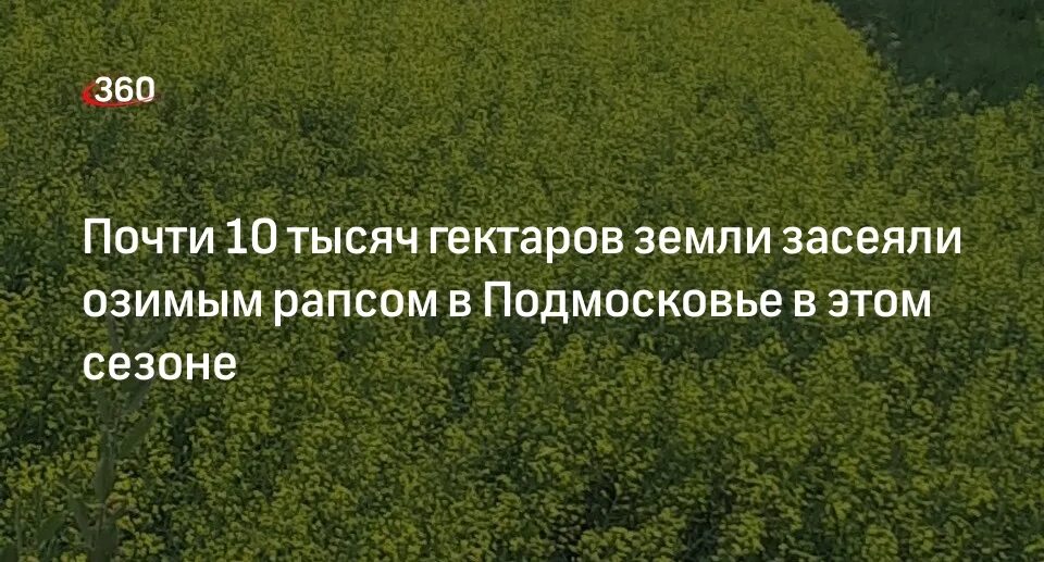 10 тыс гектар. 5 гектара. 1141 га участок. 1 гектар. 7 тысяч гектар.