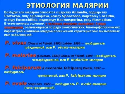 Малярия возбудитель