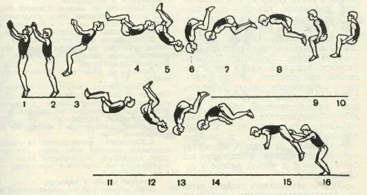 Сальто схема. Группировка сальто вперед. Двойное сальто назад с места. Техника выполнения сальто назад с места. Как делать сальто вперед