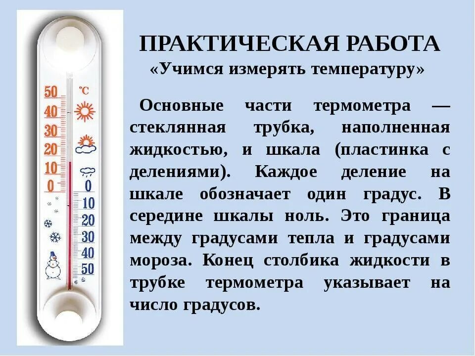 11 градусник. Температурный термометр. части термометра 2 класс окружающий мир. термометр мерять. градусник информация.