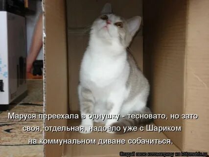 За то своя