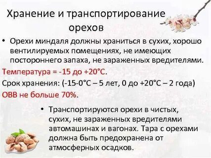 Сколько хранятся очищенные орехи