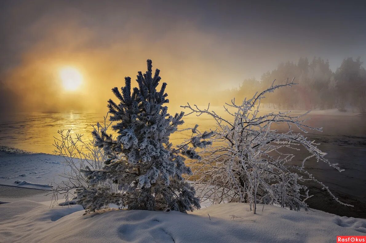 Снежное утро красивые