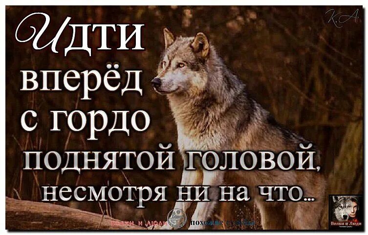 Идти с гордо поднятой головой. Если женщина идет с поднятой головой. Смелая женщина. Высоко поднятая голова. Идти с гордо поднятой головой.
