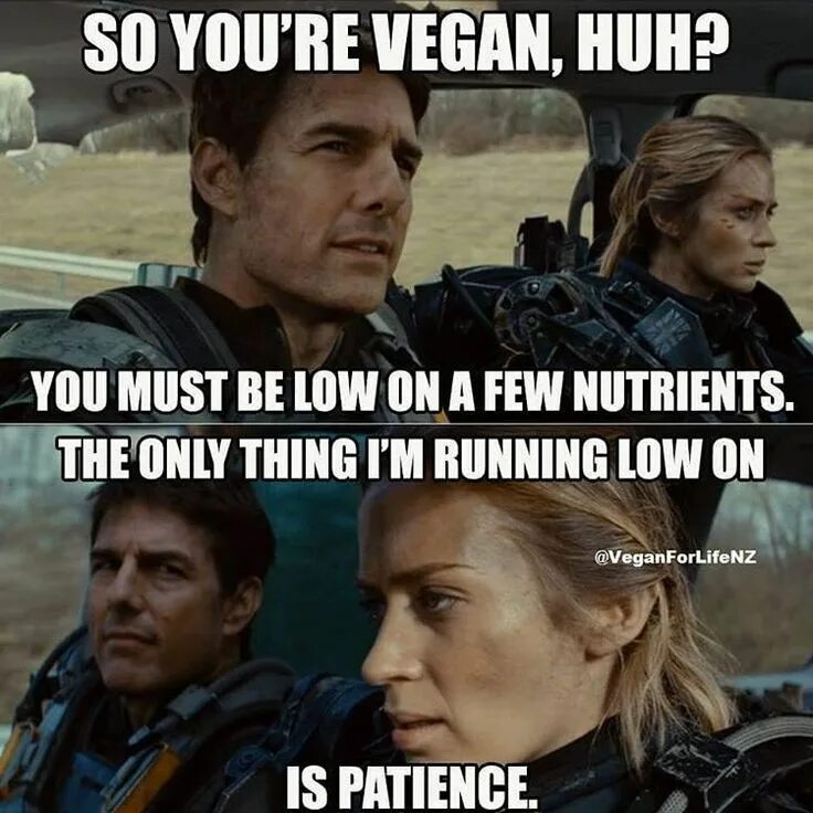 Vegan quotes. Go Vegan memes. Мем про веганов. Go Vegan meme. You must see this