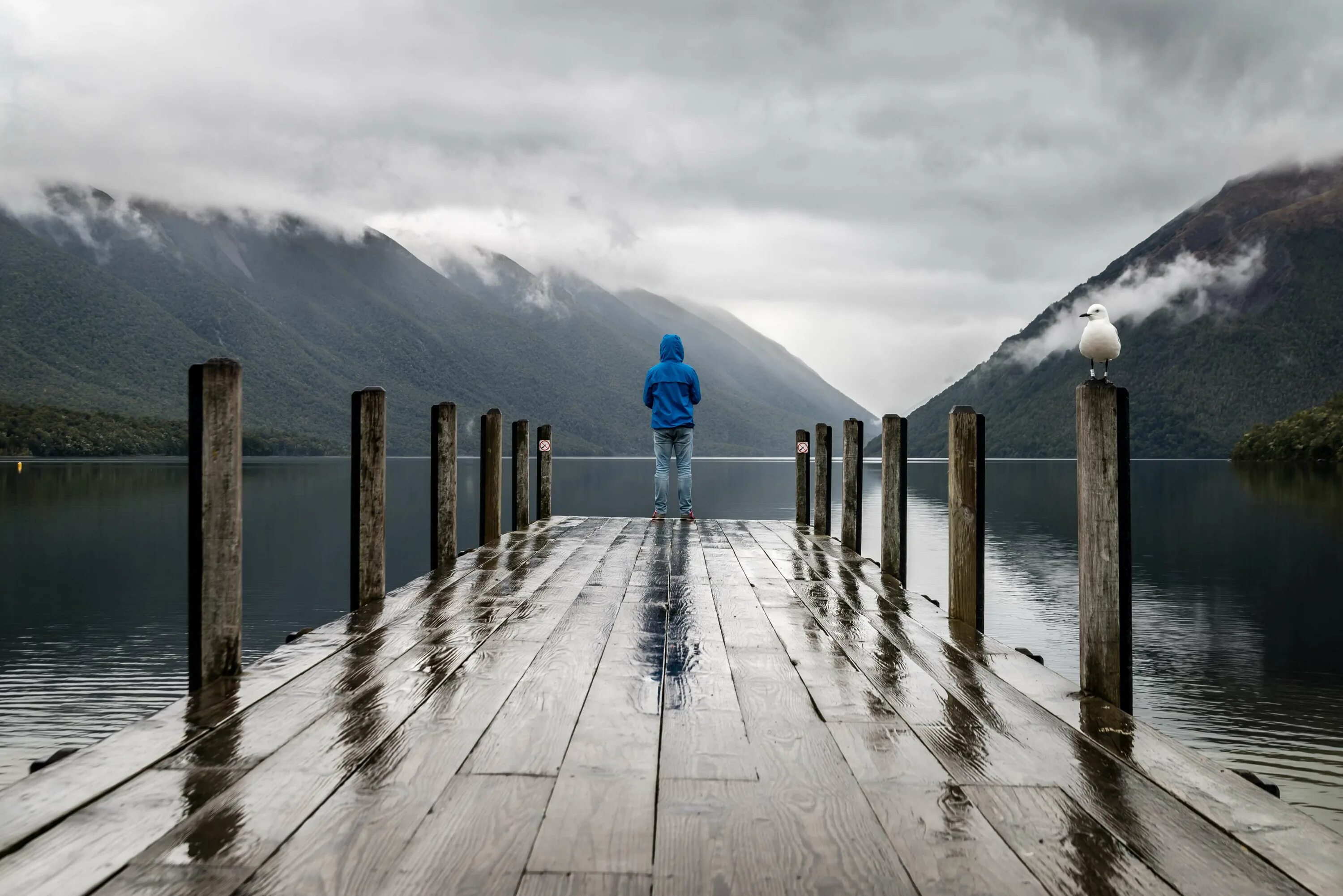 Alone because. Это одиночество. Человек на пирсе. Одиночество природа. Фотографии одиночества.