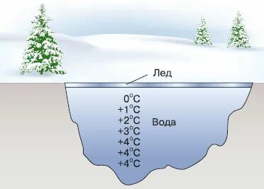 Почему вода подо льдом не замерзает. Почему вода подо льдом не замерзает