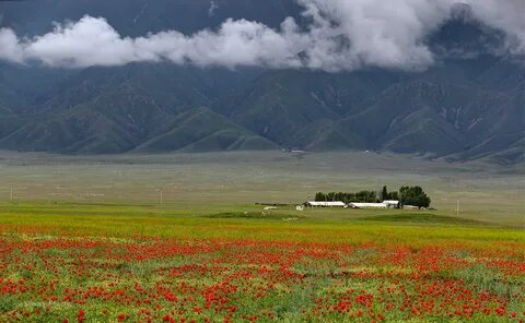 Картинка природа казахстана