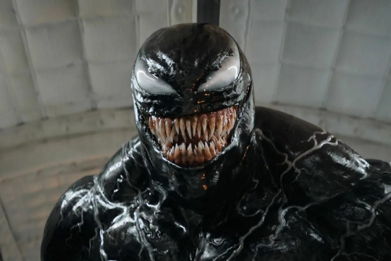 Venom the last dance дата выхода. Venom the last dance дата выхода