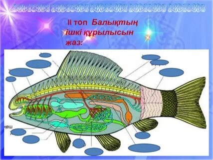 Порно семіз шлюха ана