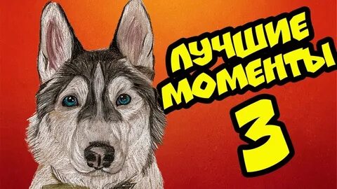 Рутуб хаски бублик