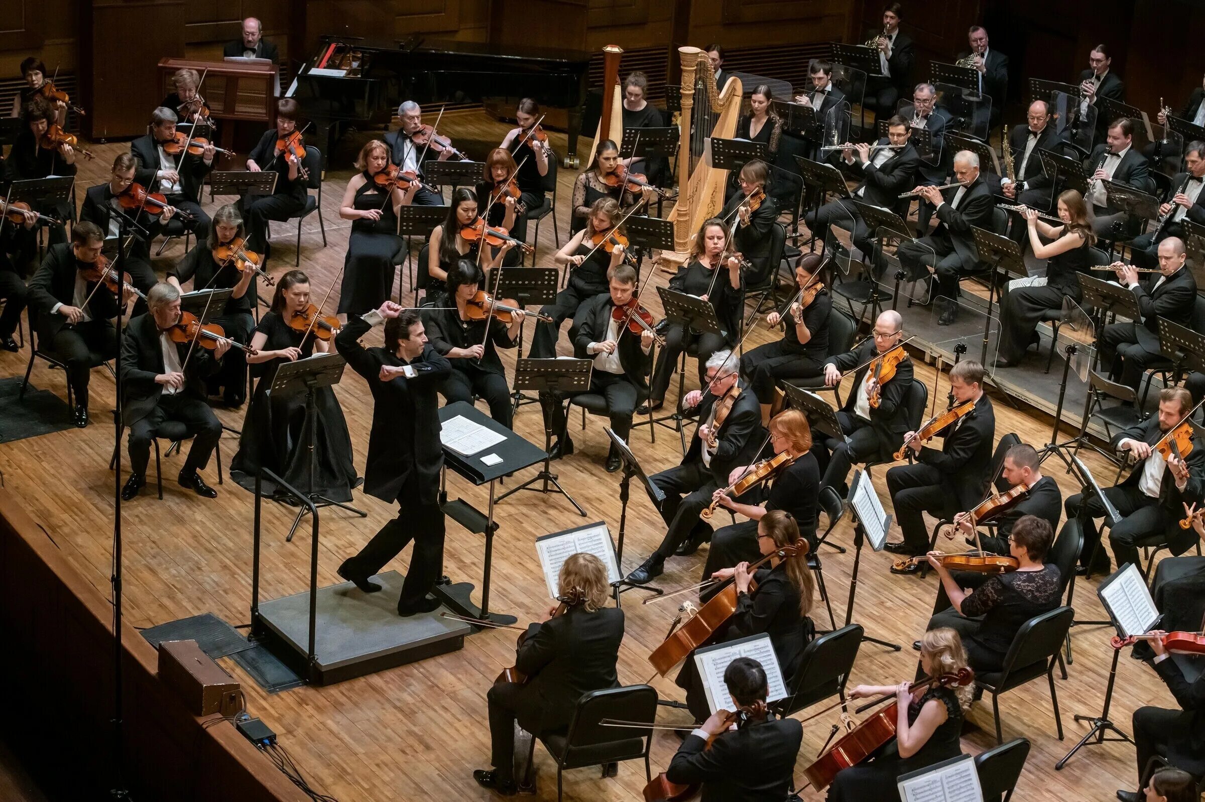 гиндин академический симфонический оркестр московской филармонии. абаканская филармония состав оркестра. забайкальский камерный оркестр. симфонический оркестр шостаковича. новосибирский академический симфонический оркестр.