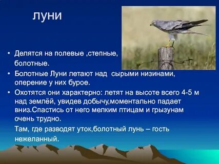 Метеостанция лунь погода