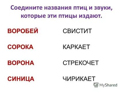 Соедините названия