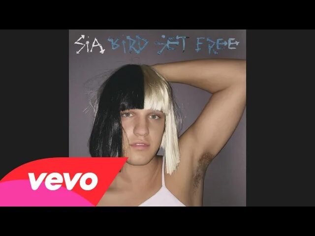 Sia Bird Set. Sia this is acting Deluxe.
