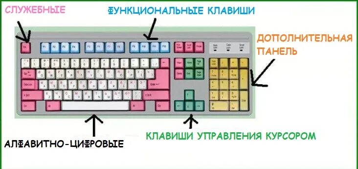 Клавиша на клавиатуре компьютера. Назначение клавиш на клавиатуре компьютера. разделение клавиш на клавиатуре. индикаторы на клавиатуре. клавиша скм.