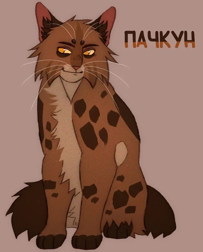 Кот ранд. Коты воители пачкун. рандомные коты. рандомный кот. котик с рандомными бубенцами.