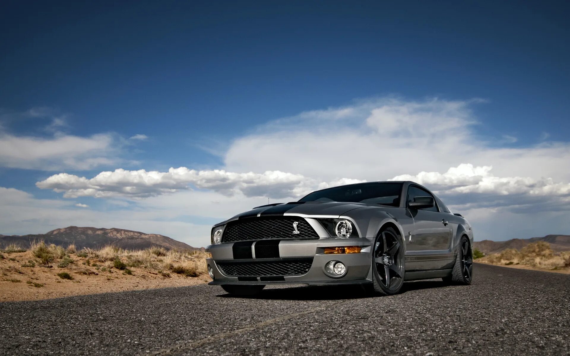 Фото на заставку телефона машины. Форд Мустанг Шелби gt 500. Ford Mustang Shelby gt. Ford Mustang Shelby gt500 2007. Mustang Shelby gt500.