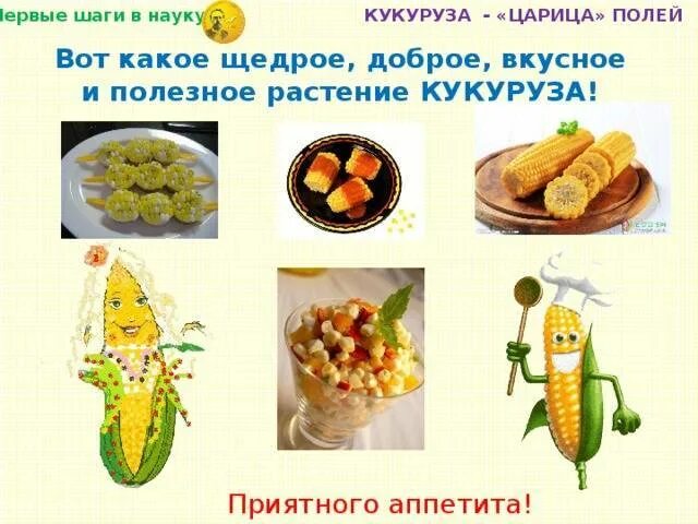 С какого возраста детям можно кукурузу. С какого возраста детям можно кукурузу