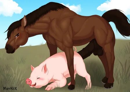 Slideshow what does a pig's penis look like 