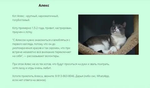Расшифровка коте