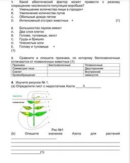 Соч биология 9 класс 3 четверть