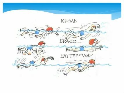 Виды плавания кроль брасс