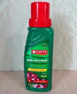 Чем подкормить петунию для зеленой массы
